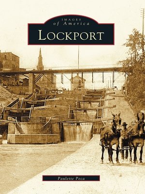 cover image of Lockport
